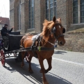 One of many horse-drawn carts in Bruges