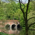 A lovely green river bank... perfect