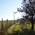 Setting out on an afternoon walk in lovely light