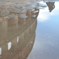 Touristy shot of the Colosseum reflected in a puddle