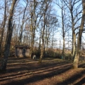 The Oaks Oasis garden, post leaf clearing