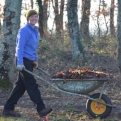 Clearing leaves at The Oaks Oasis