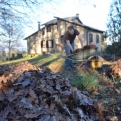 Clearing leaves at The Oaks Oasis