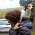 Dog and owner at local wine-tasting