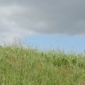 Beautiful Dutch countryside as we headed north along the dyke towards Volendam