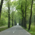 Pretty scenery as we approached Hoge Veluwe, National Park