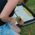 Applying plenty of Sikaflex before replacing the rear window