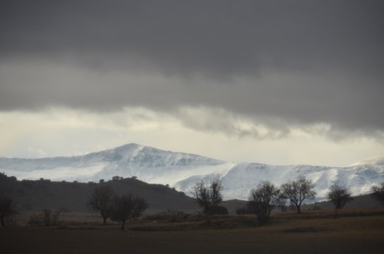 View from Bertha - stunning light and snowy mountains