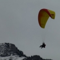 Paraglider landing (it's not us, sadly!)